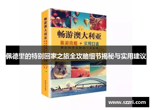 佩德里的特别回家之旅全攻略细节揭秘与实用建议